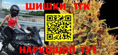 СК Сланцы