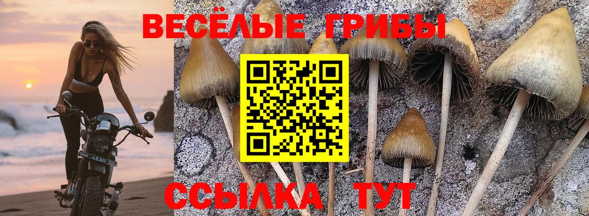 Галлюциногенные грибы мицелий Мыски